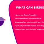 Improve Productivity With Birdie