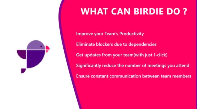 Improve Productivity With Birdie