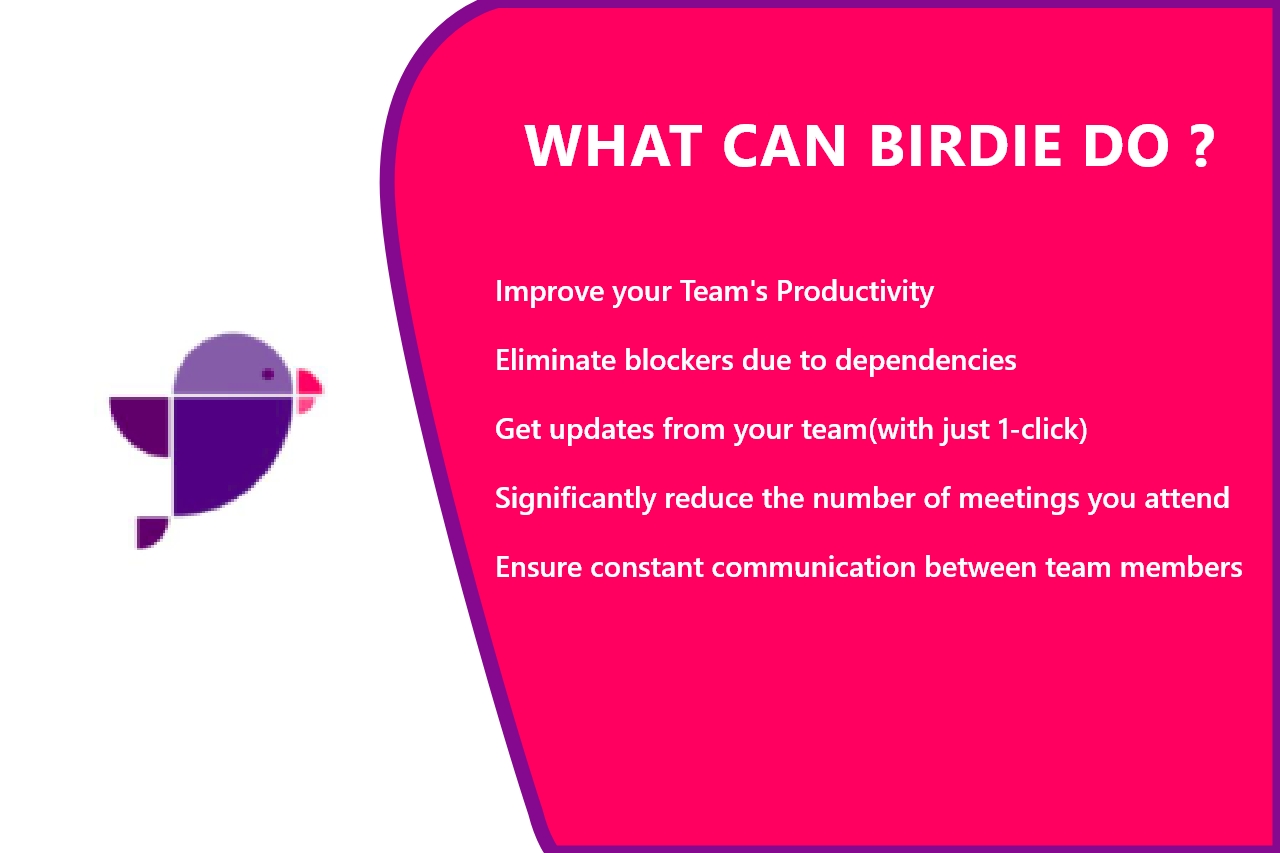 Improve Productivity With Birdie