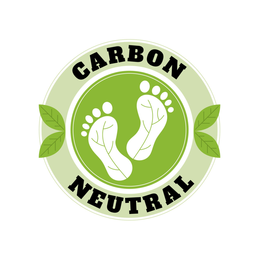 5 Ways to Lower Your Company’s Carbon Footprint and Contribute to a Greener Future