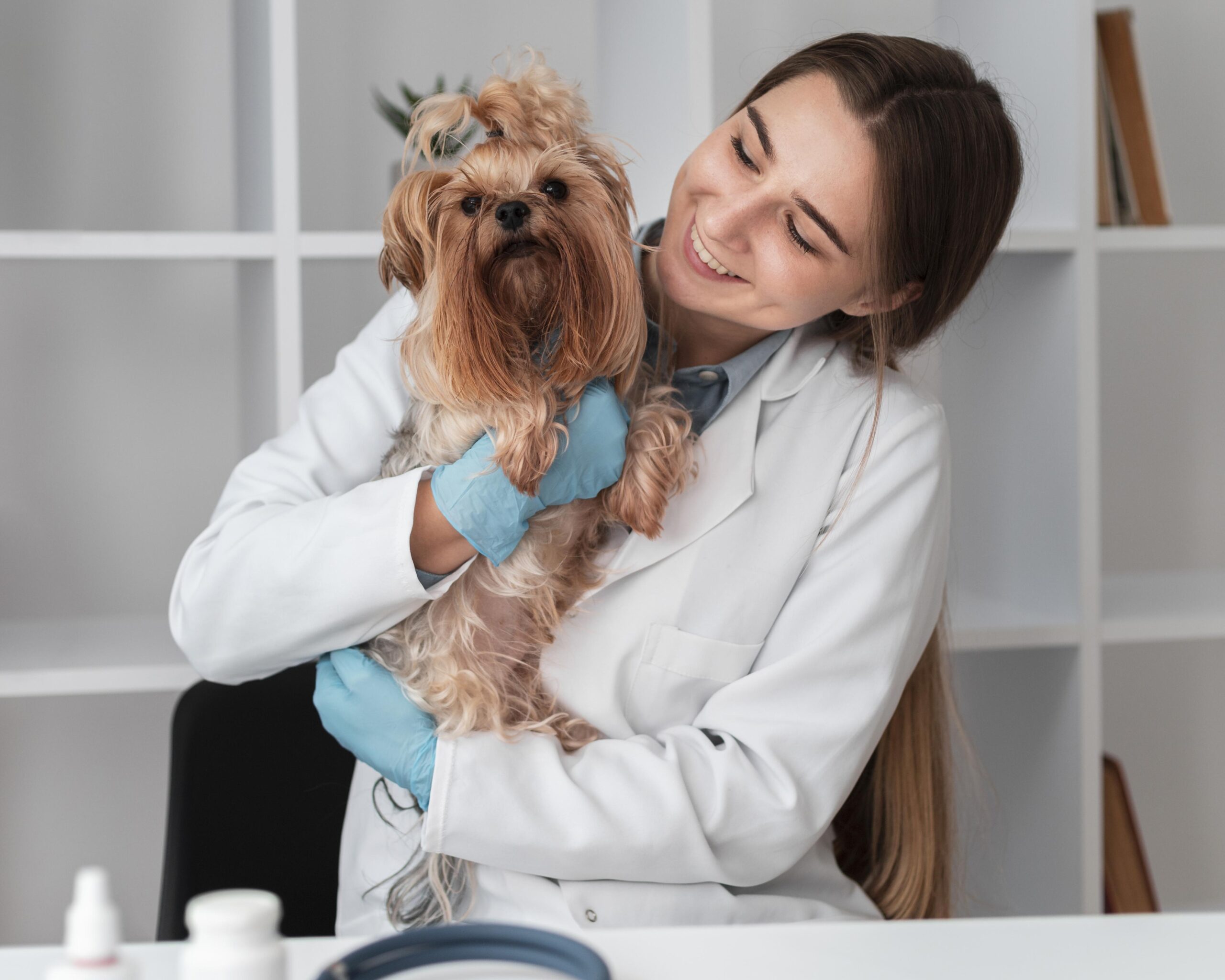 pet veterinary hospital