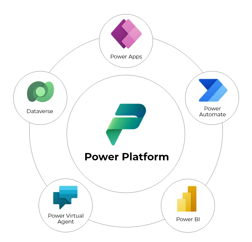 Infographic 3